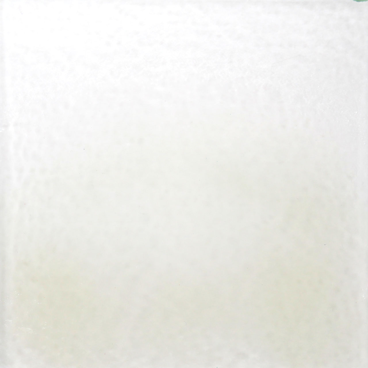 THOMPSON Esmalte 6000 para Float 227g THOMPSON Esmalte 6000 para Float 227g