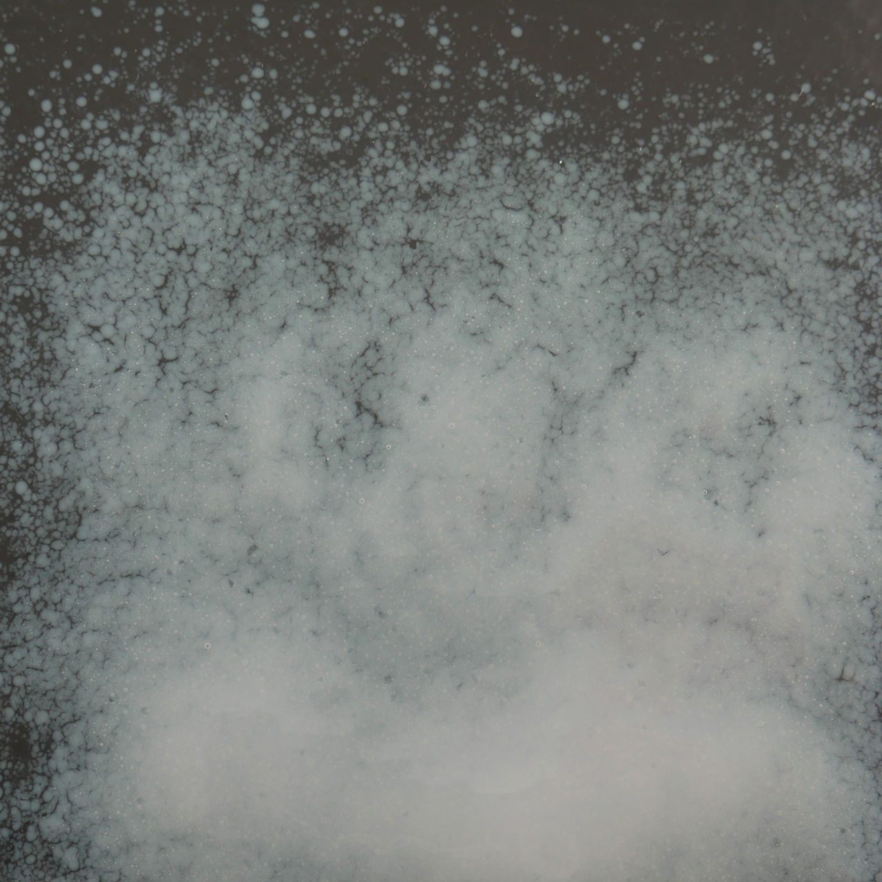 OPTUL FLOAT Frittes 3100 SP 1 kg K-2 OPTUL FLOAT Frittes 3100 SP 1 kg K-2