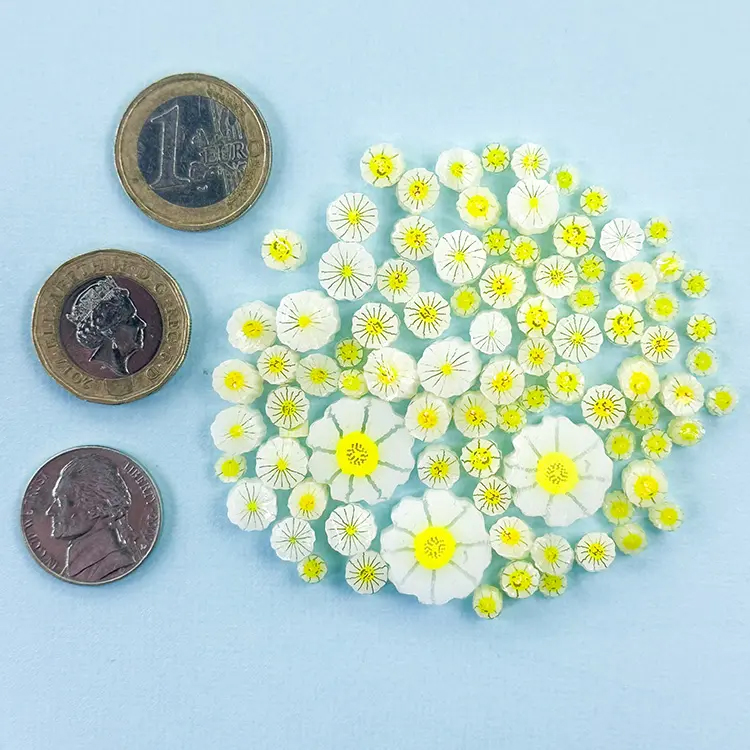 TGE Murrini AK90 Gemischte Größe - Gänseblümchen
