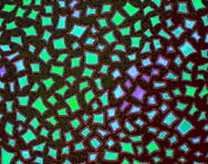 CBS Dichroic Borderline Confetti AK 96