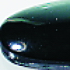Glasstein Muggel 15mm schwarz