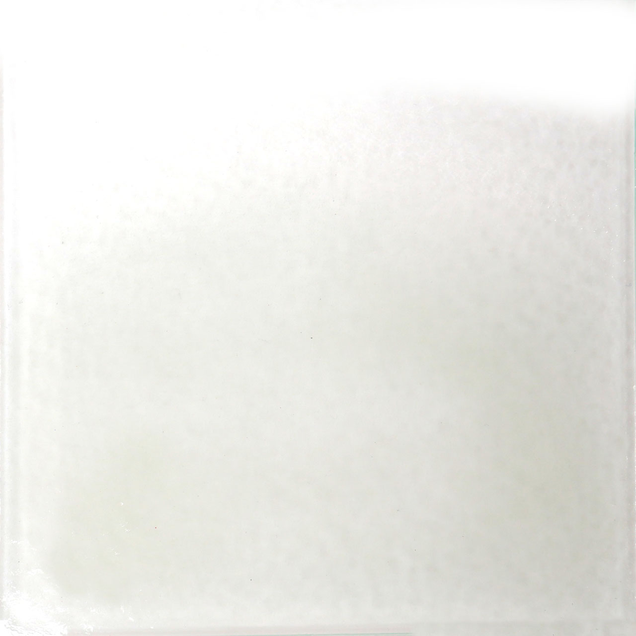 THOMPSON Esmalte 6010 para Float 227g THOMPSON Esmalte 6010 para Float 227g