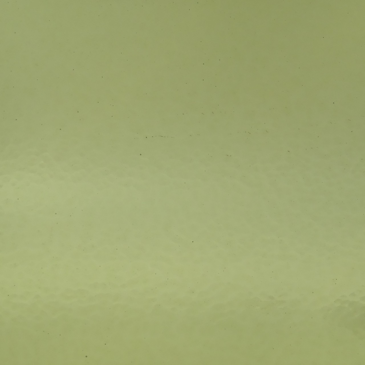 WISSMACH 40CX Corella Classic WISSMACH 40CX Corella Classic