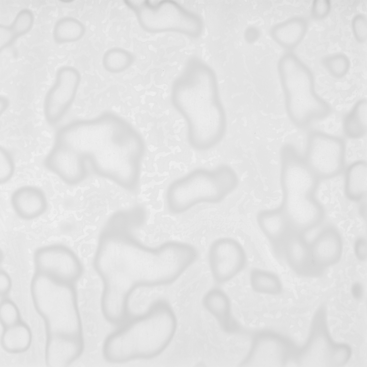 BULLSEYE 6013-00 BULLSEYE 6013-00