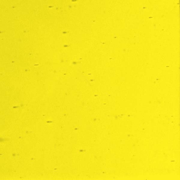 LAMBERTS 1058 U LAMBERTS 1058 U