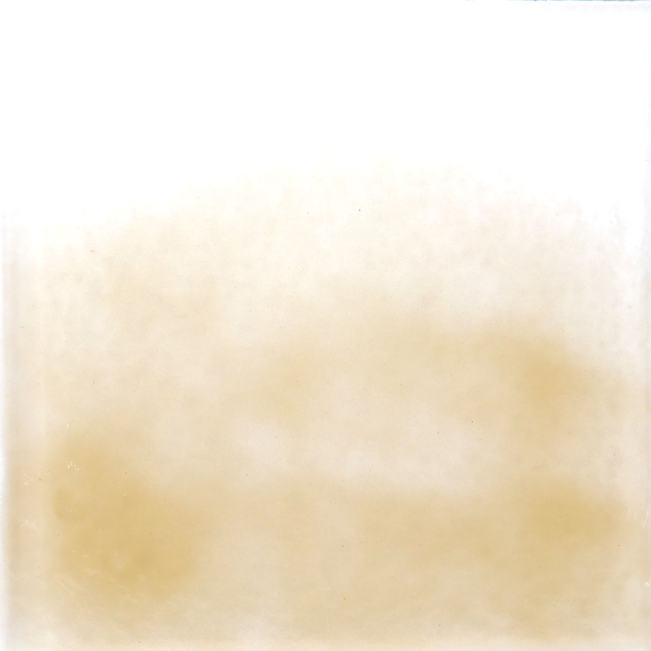 THOMPSON Esmalte 6205 para Float 227g THOMPSON Esmalte 6205 para Float 227g