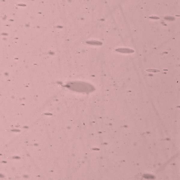 LAMBERTS 711xx LAMBERTS 711xx