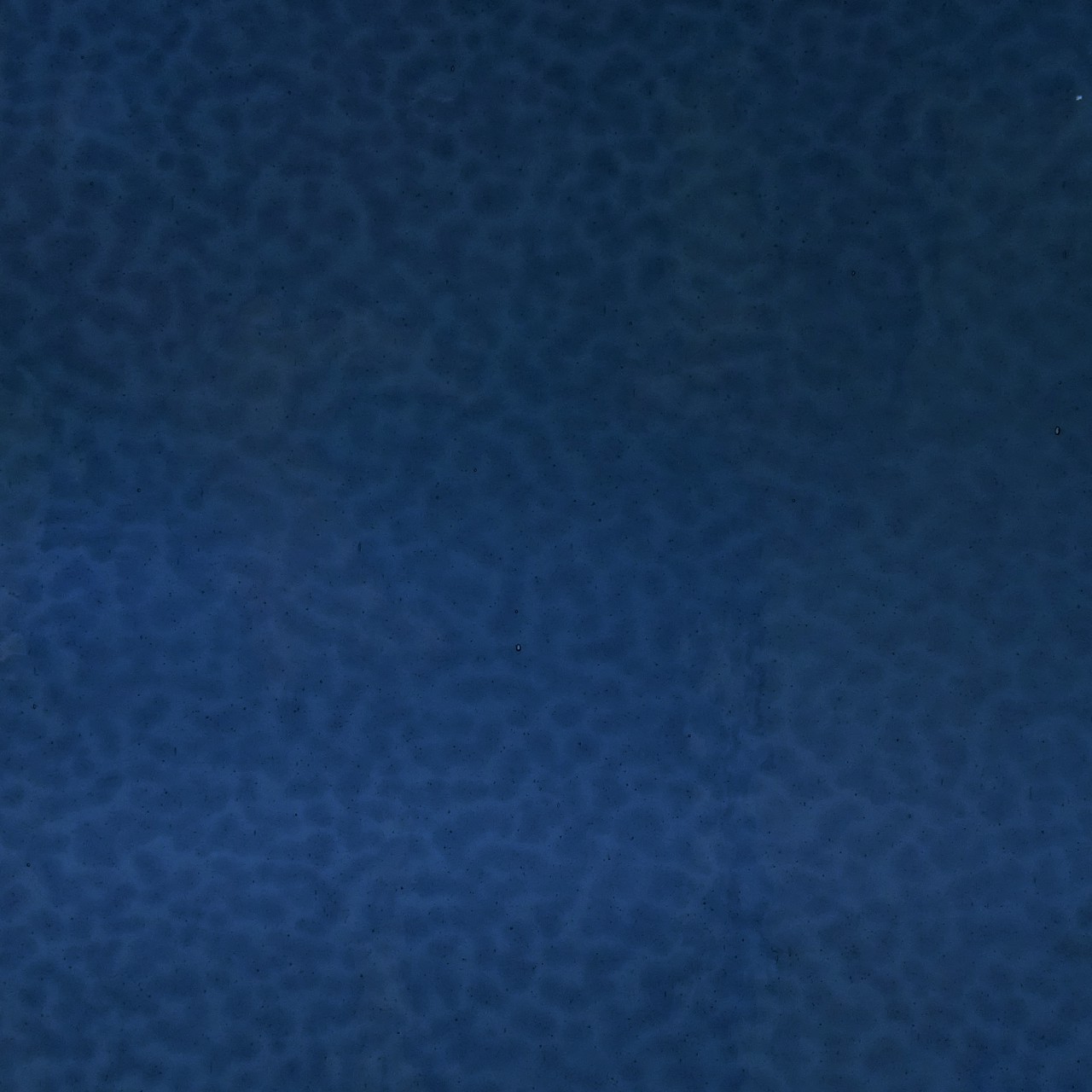 WISSMACH 378 Corella Classic WISSMACH 378 Corella Classic