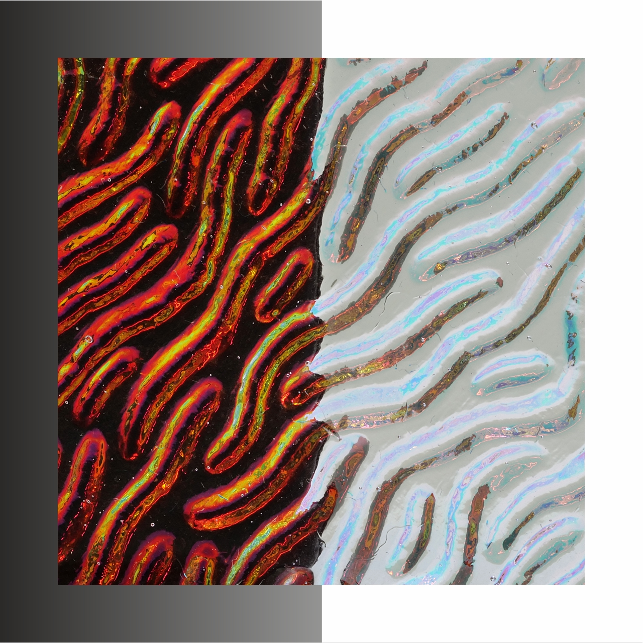 CBS Dichroic WTC-96 Stream X C/DR COE96 CBS Dichroic WTC-96 Stream X C/DR COE96