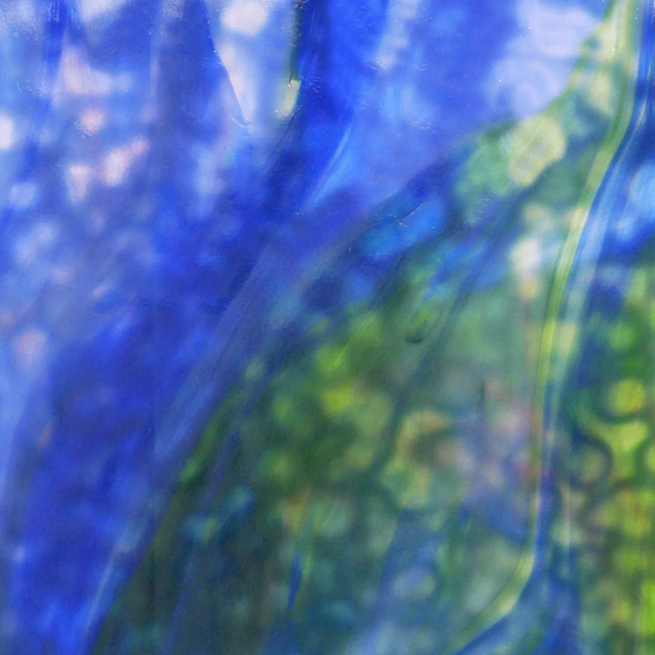 YOUGHIOGHENY Wisteria C YOUGHIOGHENY Wisteria C