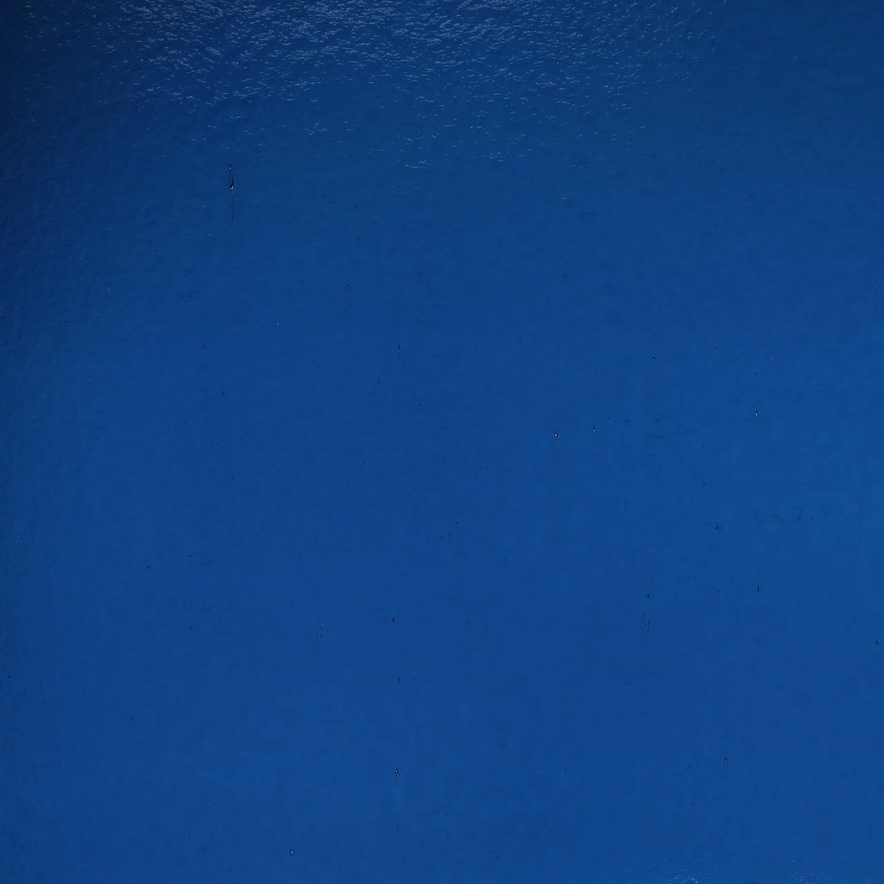 BULLSEYE 1246-50F BULLSEYE 1246-50F