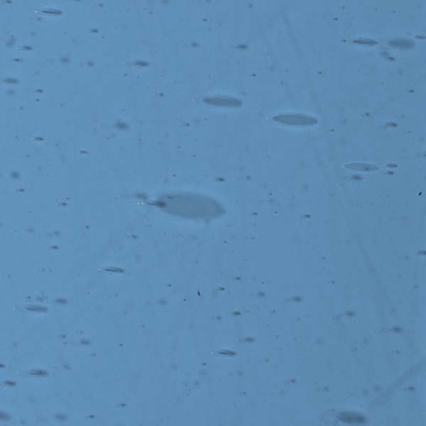 LAMBERTS 1454xh LAMBERTS 1454xh