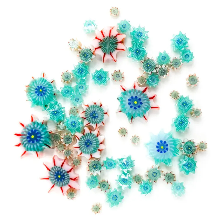 TGE Murrini AK90 Gemischte Größen - Anemonen-Seeigel TGE Murrini AK90 Gemischte Größen - Anemonen-Seeigel