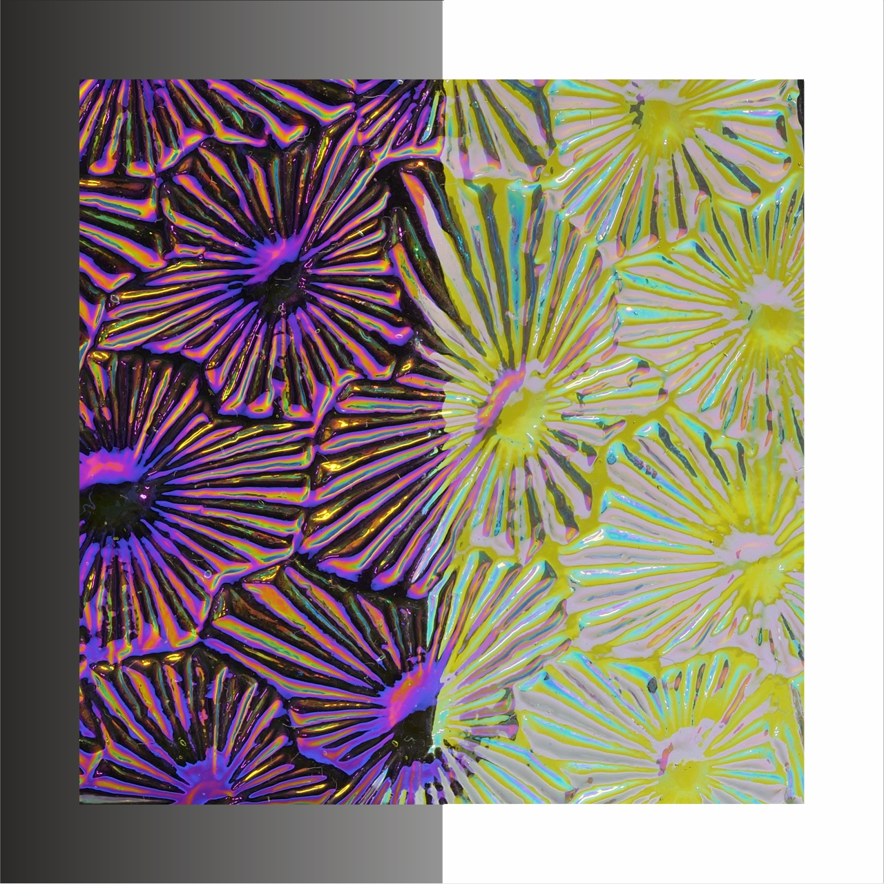 CBS Dichroic WTC-96 Florentine G/M COE90