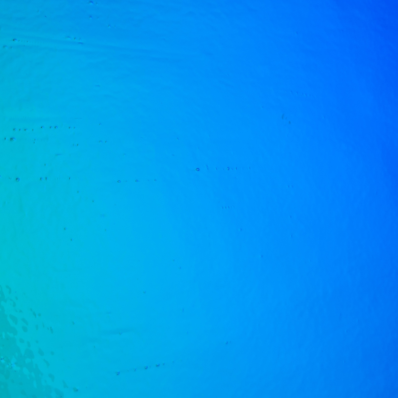 CBS Dichroic 0100-50 P/T COE90 CBS Dichroic 0100-50 P/T COE90