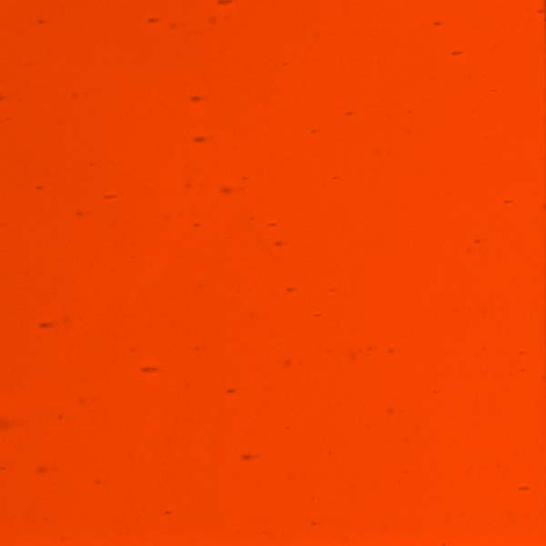 LAMBERTS 4245 U LAMBERTS 4245 U