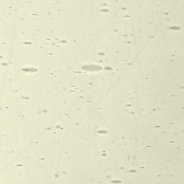 LAMBERTS 2657xx LAMBERTS 2657xx