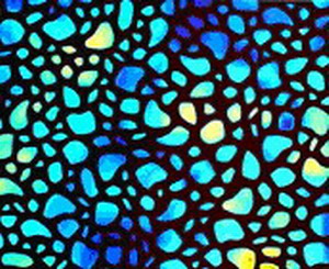 CBS Dichroic Borderline River Rock AK 96 CBS Dichroic Borderline River Rock AK 96