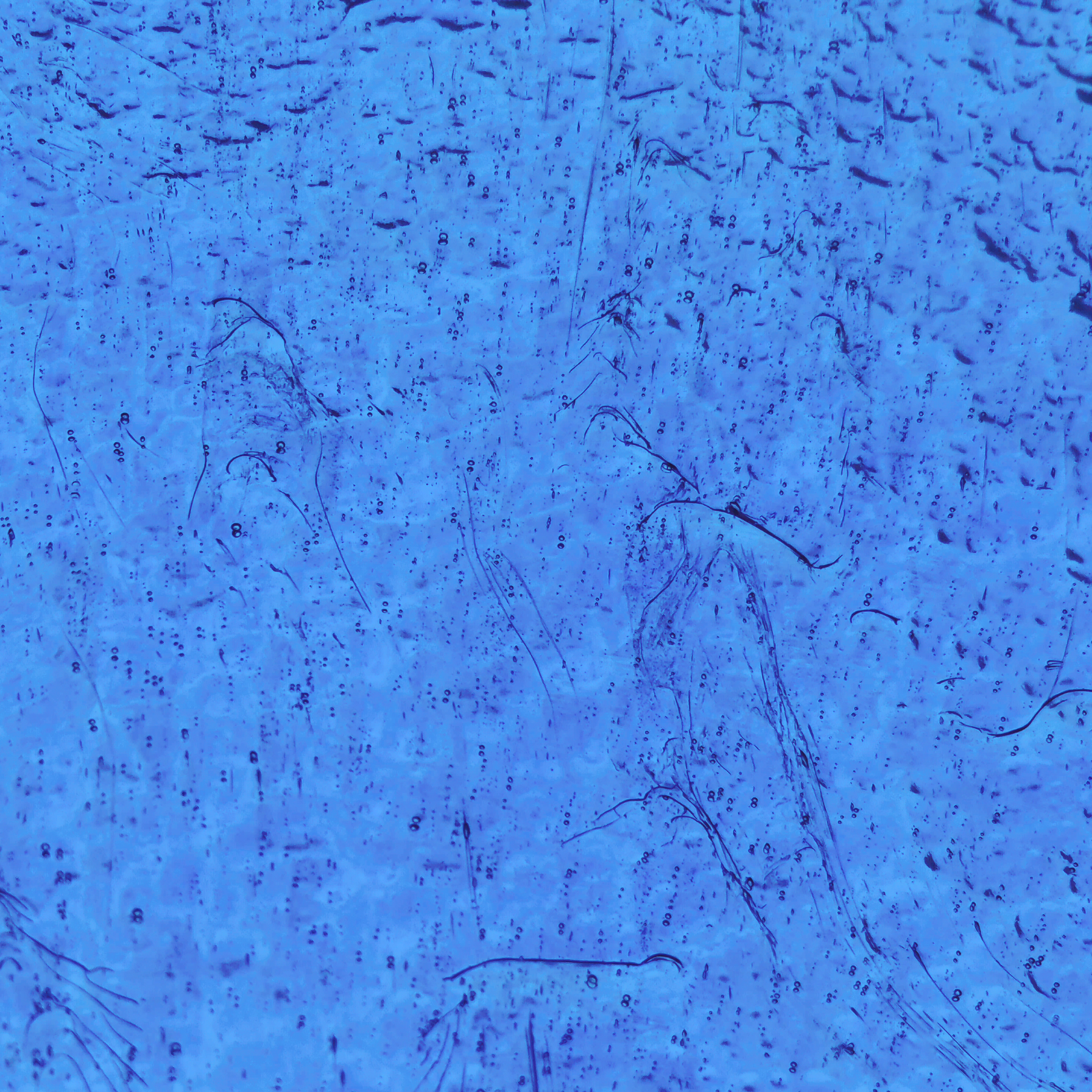 Mississippi River Glass Mirror 5038 MB