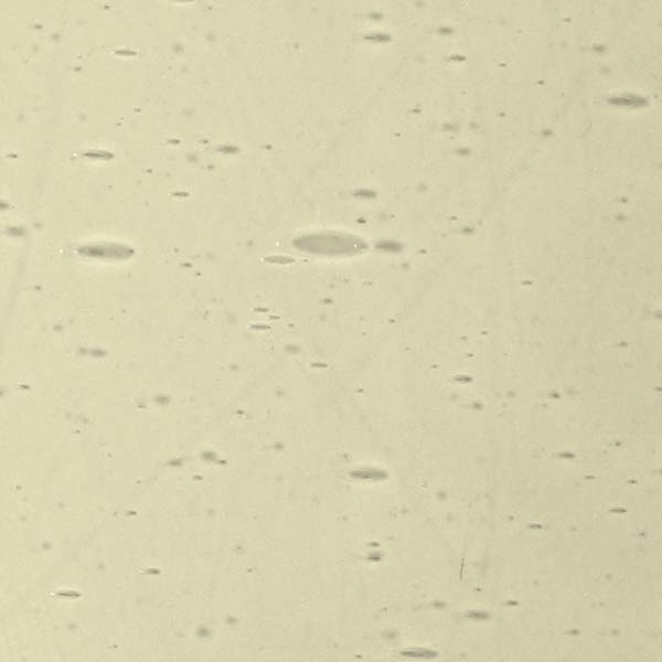 LAMBERTS 2635xx LAMBERTS 2635xx