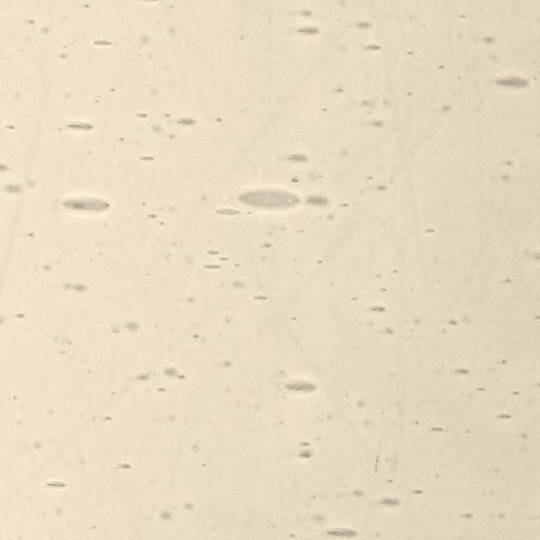 LAMBERTS 1973xx LAMBERTS 1973xx