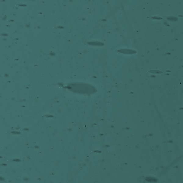 LAMBERTS 2896-F LAMBERTS 2896-F