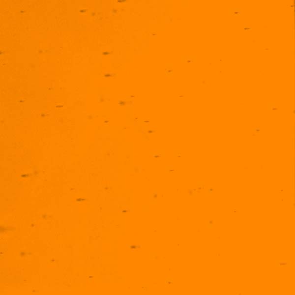 LAMBERTS 4455 U LAMBERTS 4455 U