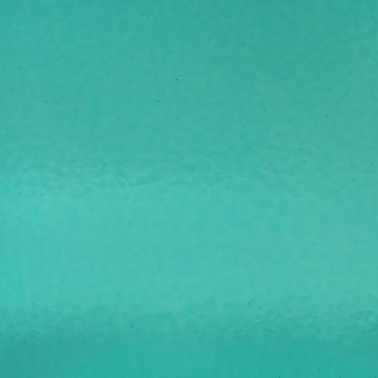 WISSMACH 169 Corella Classic 82x53cm WISSMACH 169 Corella Classic 82x53cm