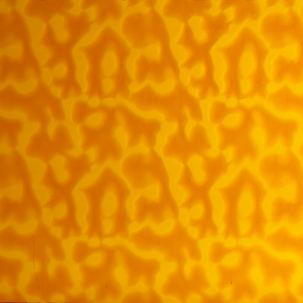 WISSMACH 310 Flemish 82x53cm