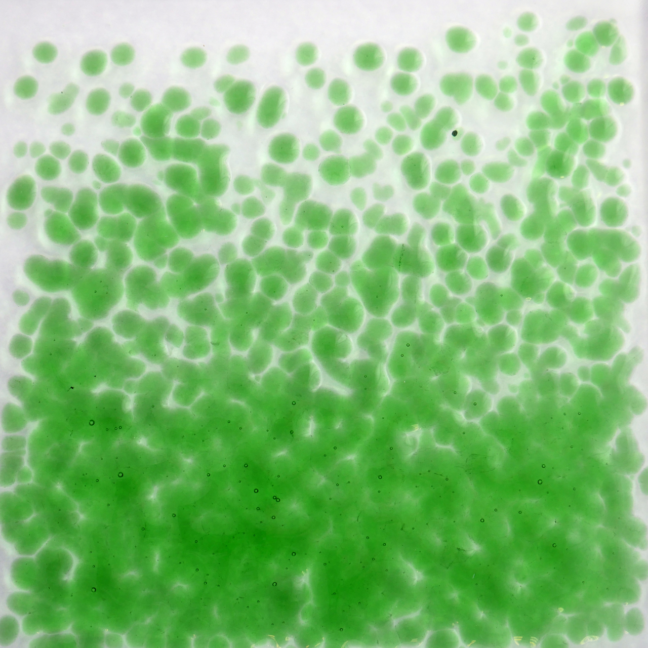 OPTUL FLOAT Fritas 0072 VE=15 kg K-4 OPTUL FLOAT Fritas 0072 VE=15 kg K-4