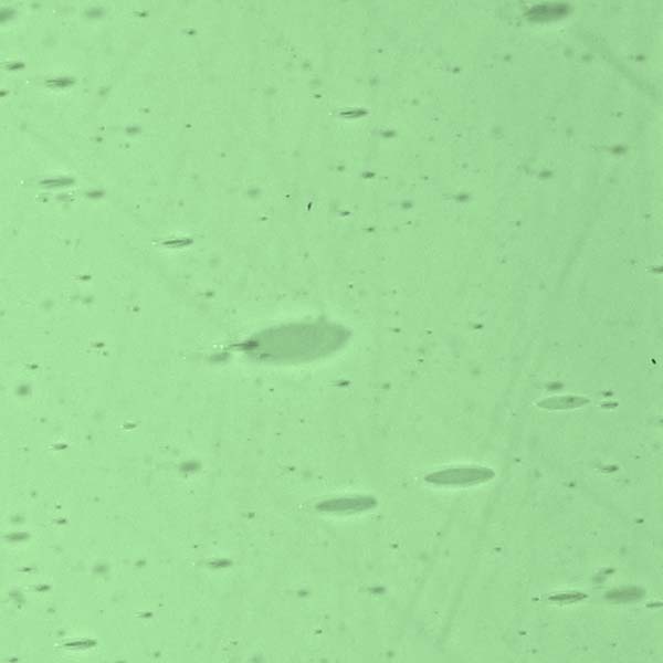 LAMBERTS 328xx LAMBERTS 328xx