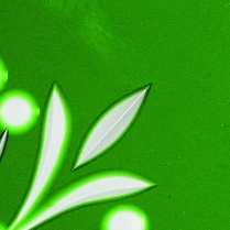 LAMBERTS Goethe 2212 UG green LAMBERTS Goethe 2212 UG green