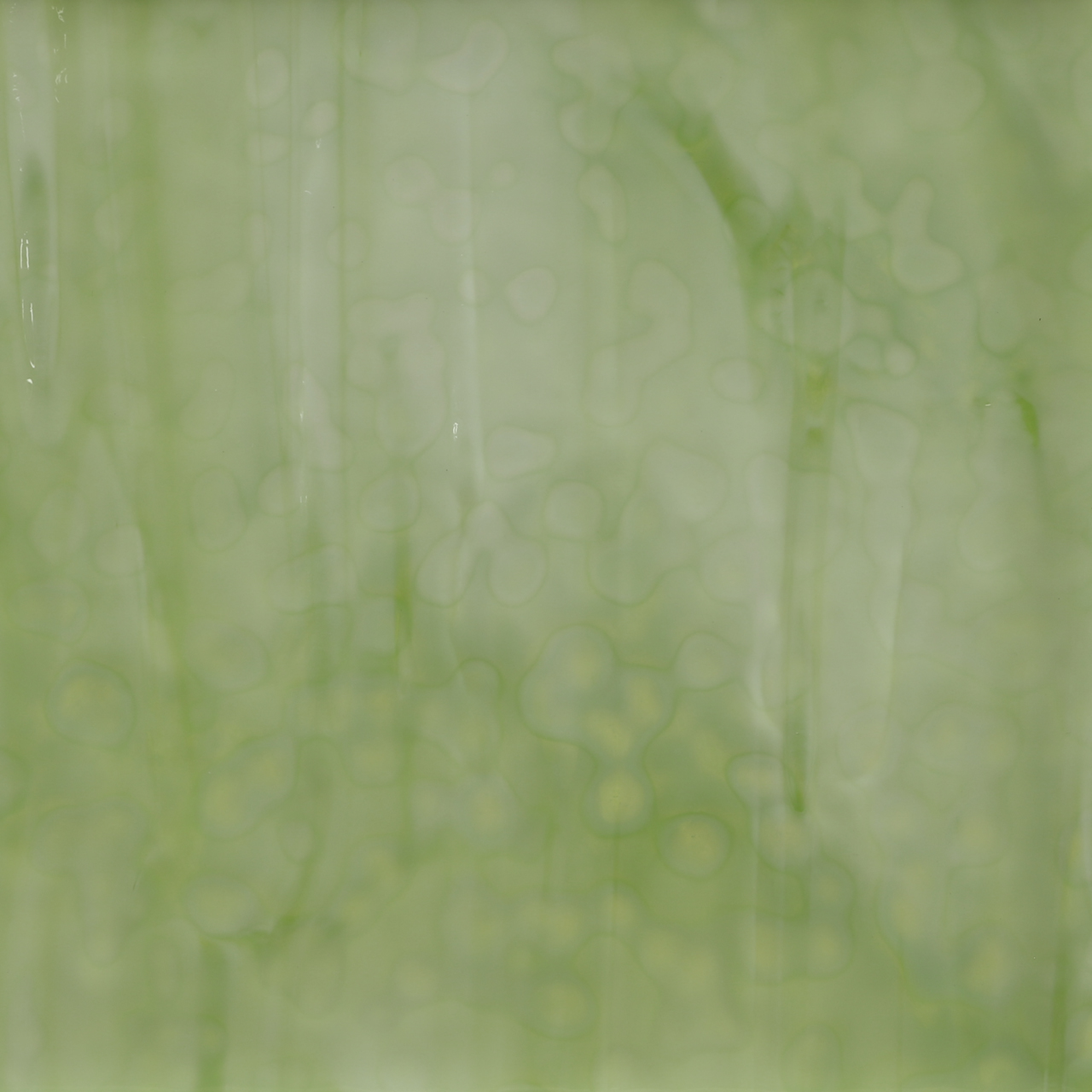 BULLSEYE 6207-00 BULLSEYE 6207-00