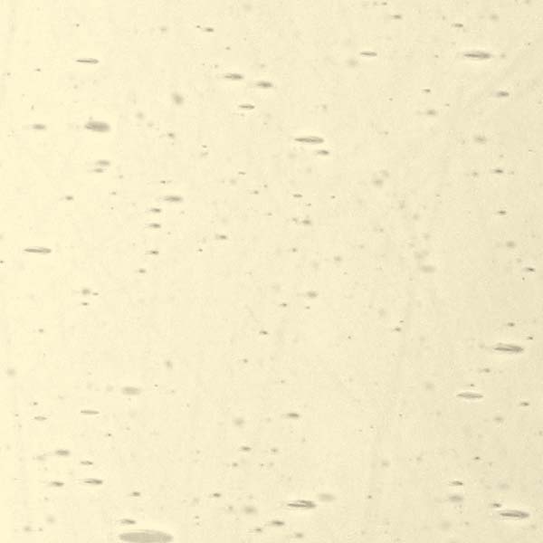 LAMBERTS 39xx LAMBERTS 39xx