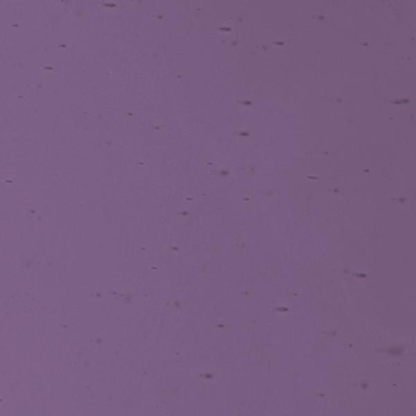 LAMBERTS 3406 U LAMBERTS 3406 U