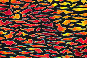 CBS Dichroic Borderline Animals AK 96 CBS Dichroic Borderline Animals AK 96