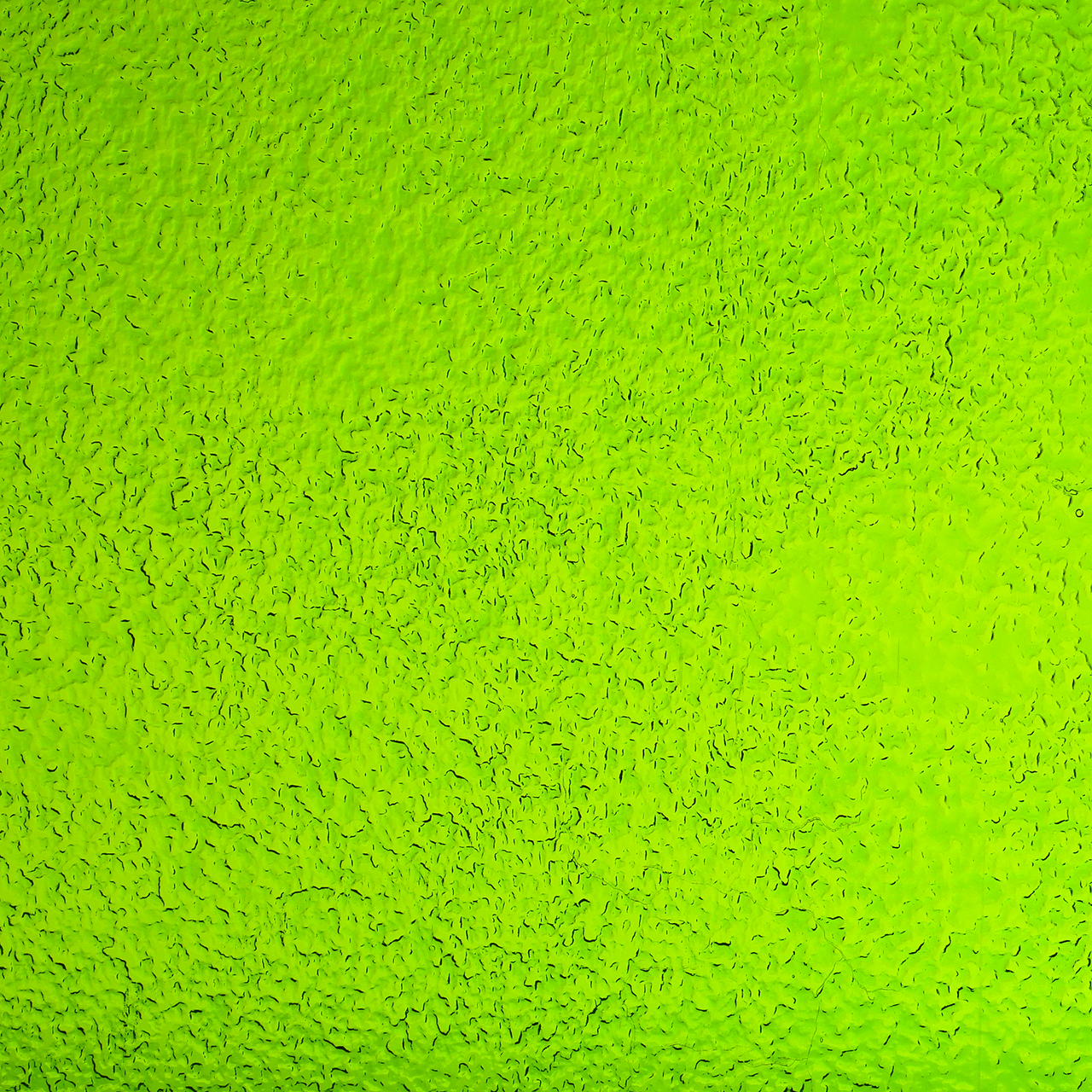 WISSMACH 1146 Moss 82x53cm WISSMACH 1146 Moss 82x53cm