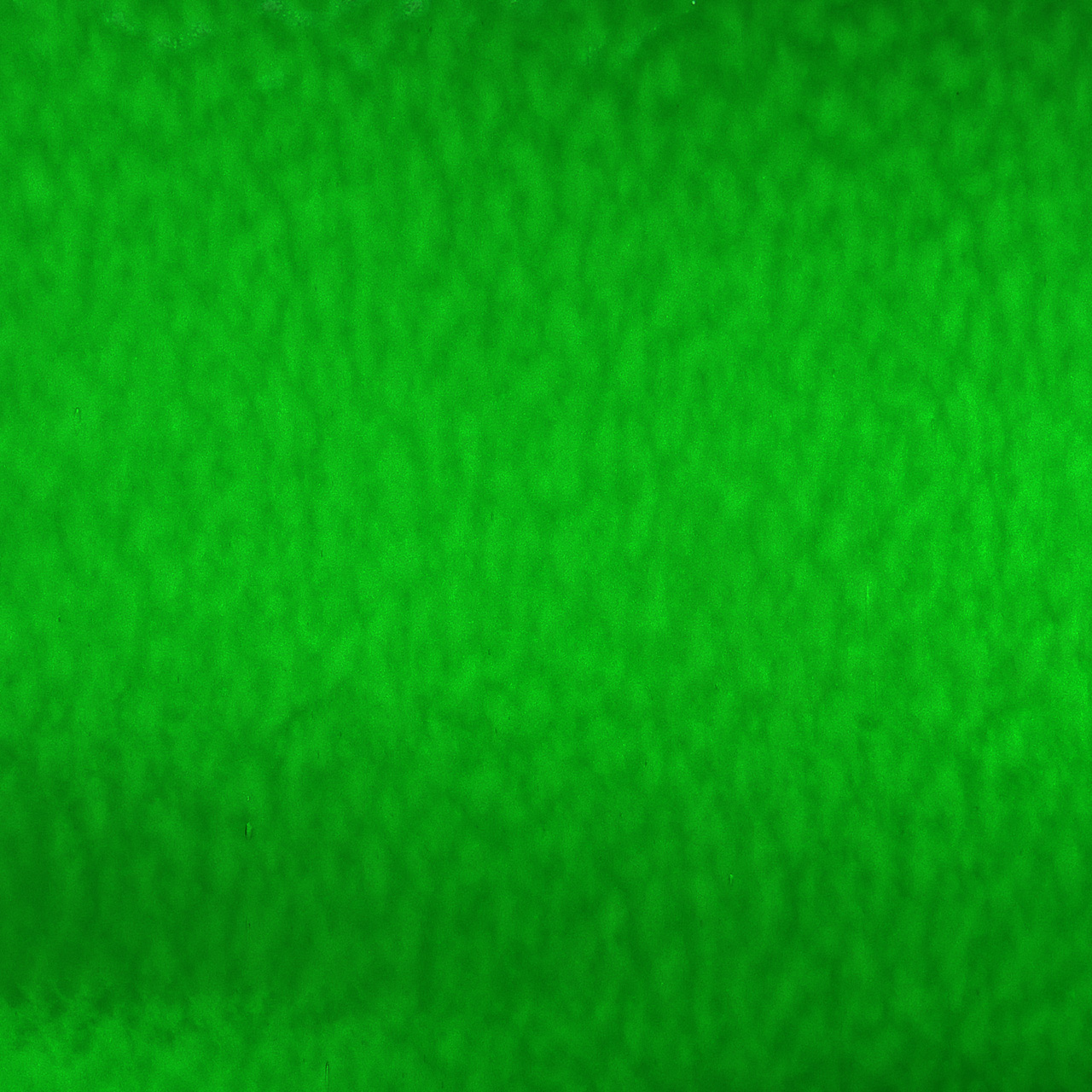 OCEANSIDE Spectrum 125RR-F OCEANSIDE Spectrum 125RR-F