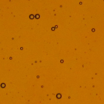 BULLSEYE 1221-30F BULLSEYE 1221-30F