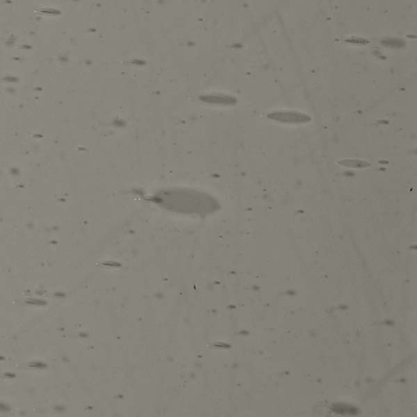 LAMBERTS 1695xx LAMBERTS 1695xx