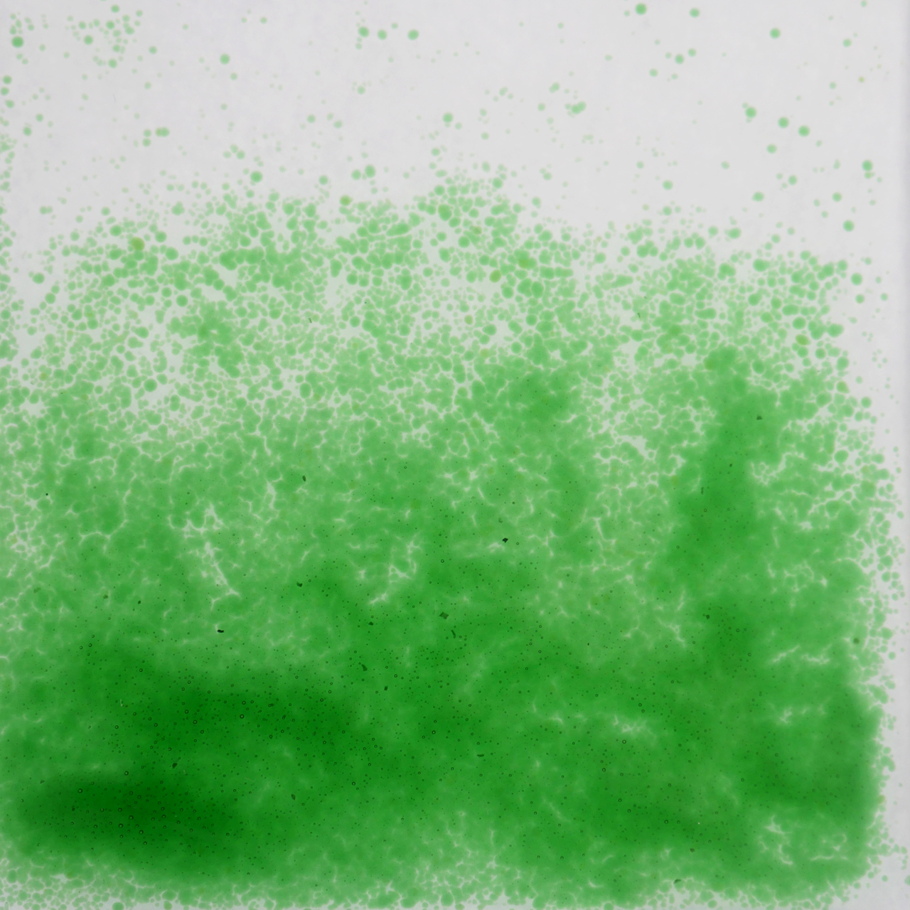 OPTUL FLOAT Frittes 0076 VE=15 kg K-2 OPTUL FLOAT Frittes 0076 VE=15 kg K-2