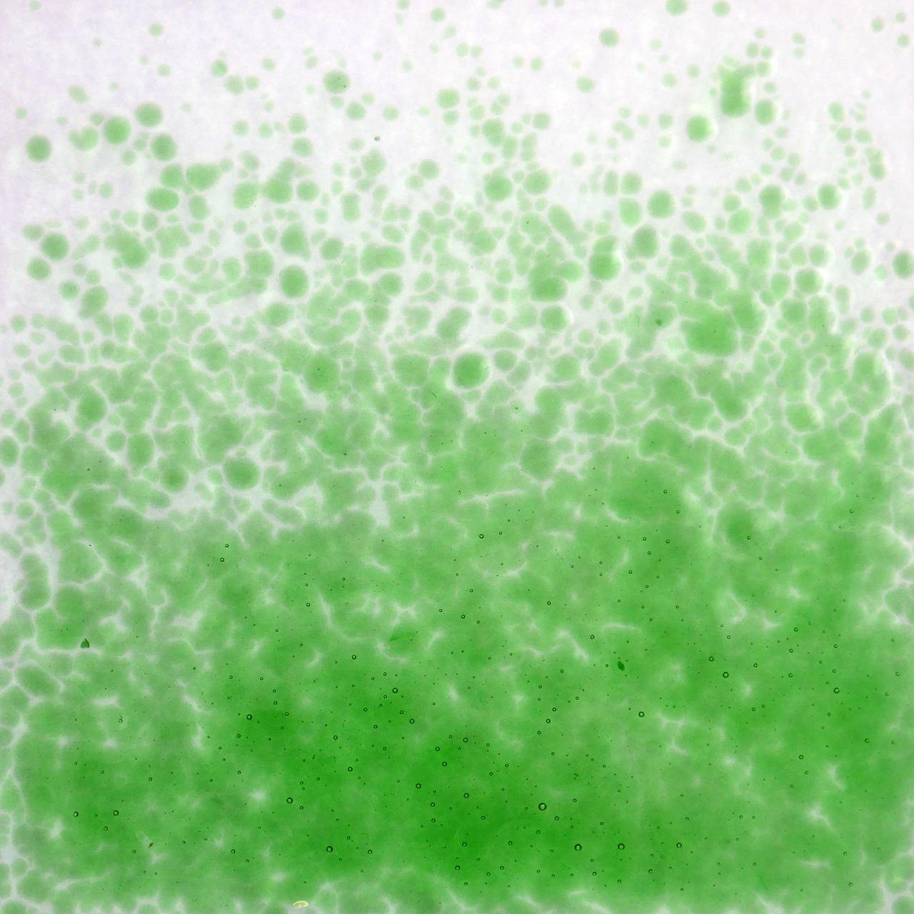 OPTUL FLOAT Fritas 0072 VE=15 kg K-3 OPTUL FLOAT Fritas 0072 VE=15 kg K-3