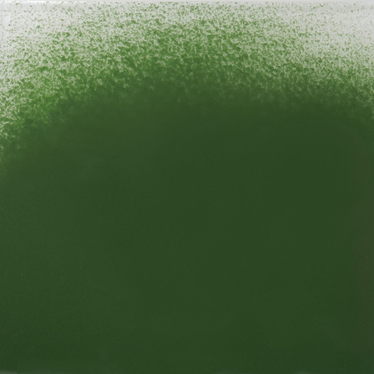 THOMPSON Enamel 5350 (flotté) 227g THOMPSON Enamel 5350 (flotté) 227g