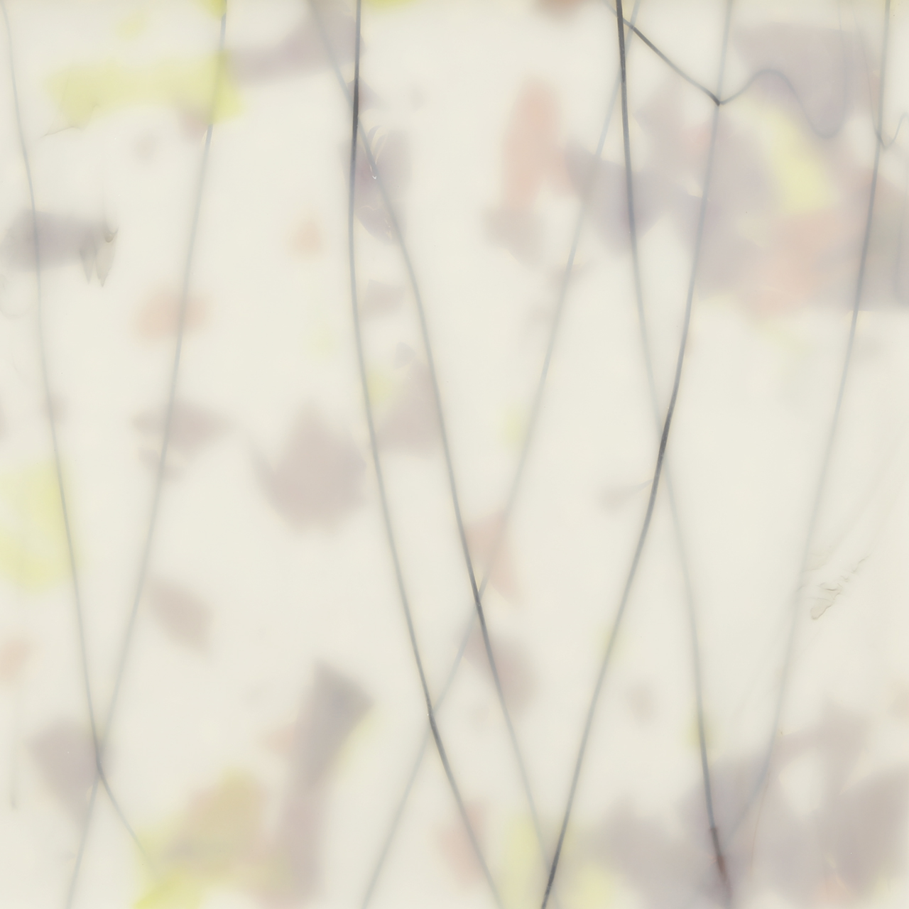 BULLSEYE 4011-00F BULLSEYE 4011-00F