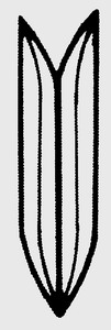 Hi-Lite Bevel-Set HS 25 Hi-Lite Bevel-Set HS 25