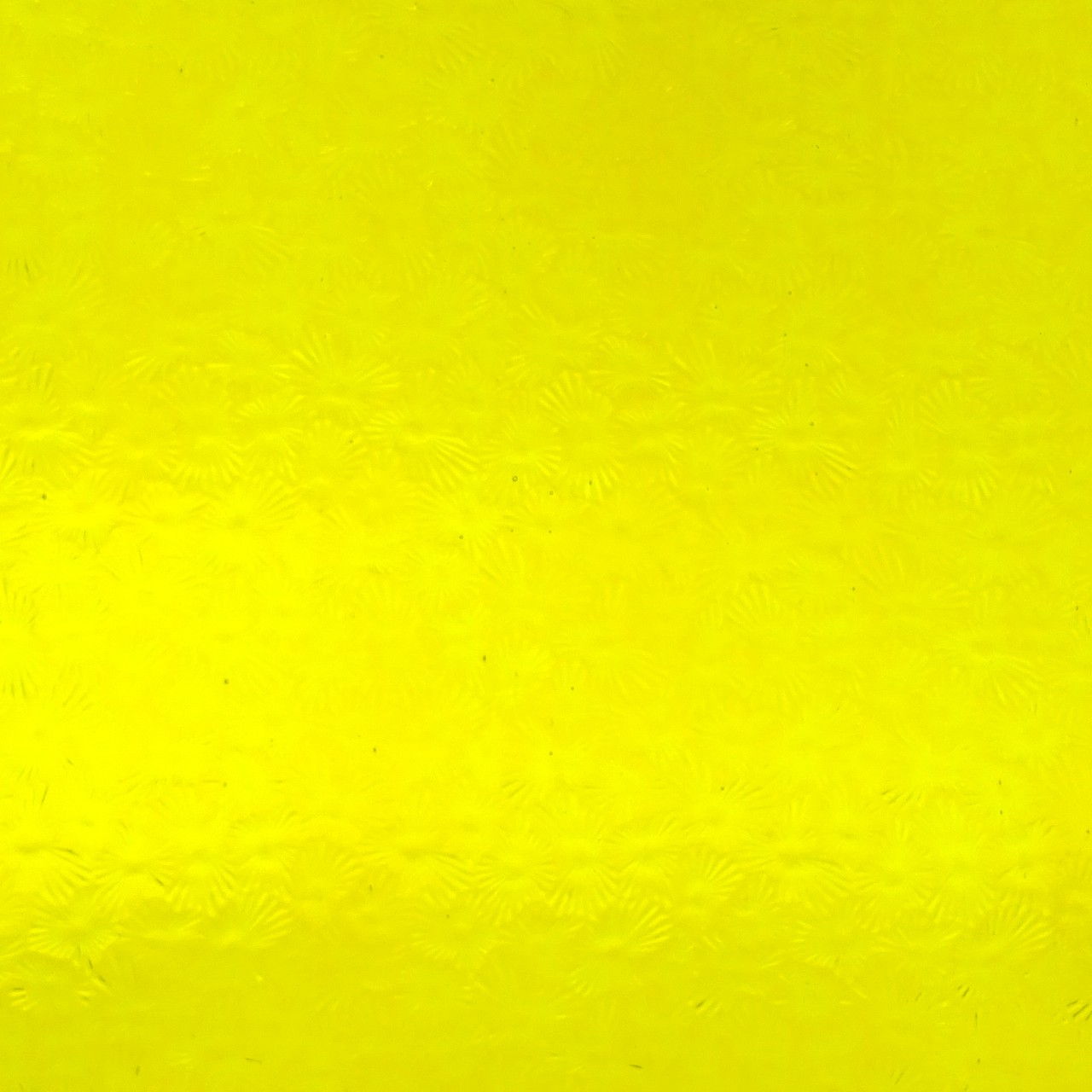 WISSMACH 31 Florentine 82x53cm WISSMACH 31 Florentine 82x53cm