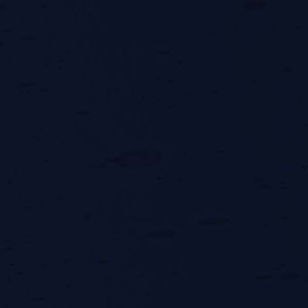 LAMBERTS 1480-F LAMBERTS 1480-F