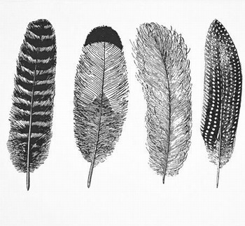 Fusing Decal large Feathers Nr.1 black Fusing Decal large Feathers Nr.1 black