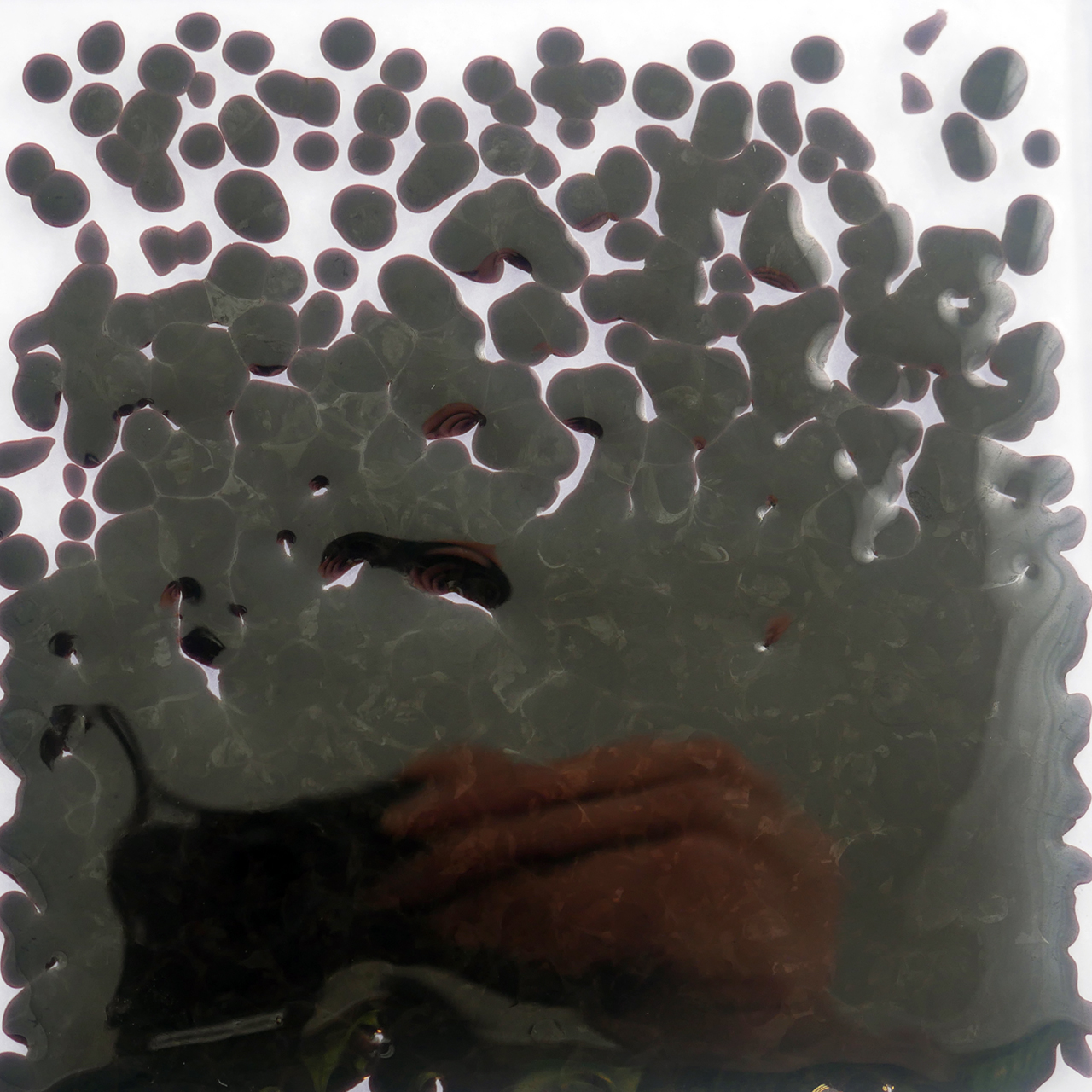 OPTUL FLOAT Frittes 0116 VE=15 kg K-4 OPTUL FLOAT Frittes 0116 VE=15 kg K-4