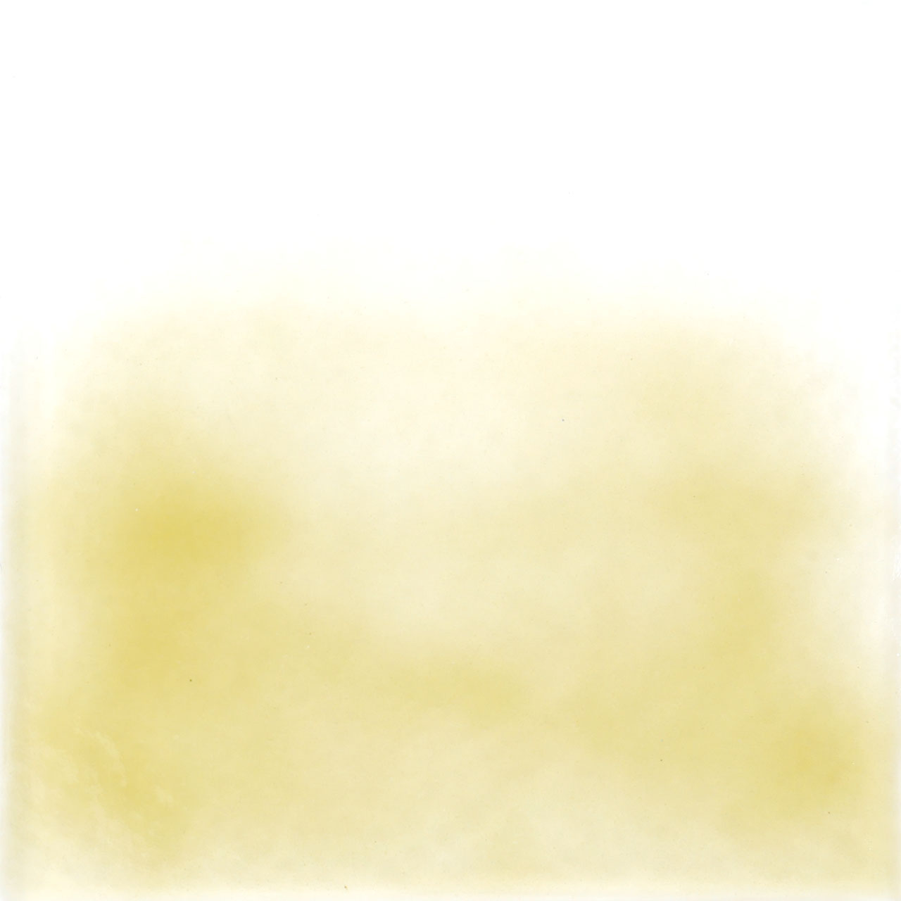 THOMPSON Esmalte 6210 para Float 227g THOMPSON Esmalte 6210 para Float 227g